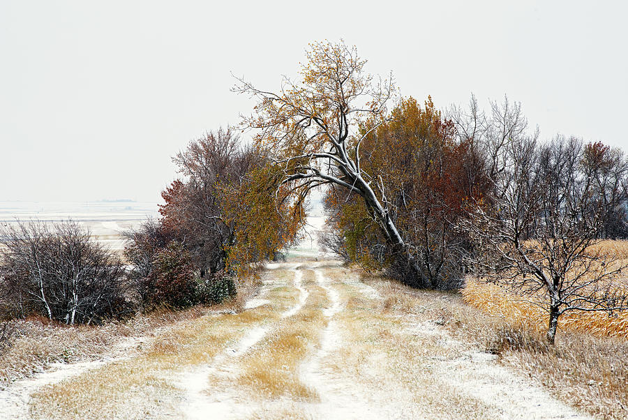 The Path Towards Winter - Snow Dusted Grassy Trail In Rural North Dakota Photograph