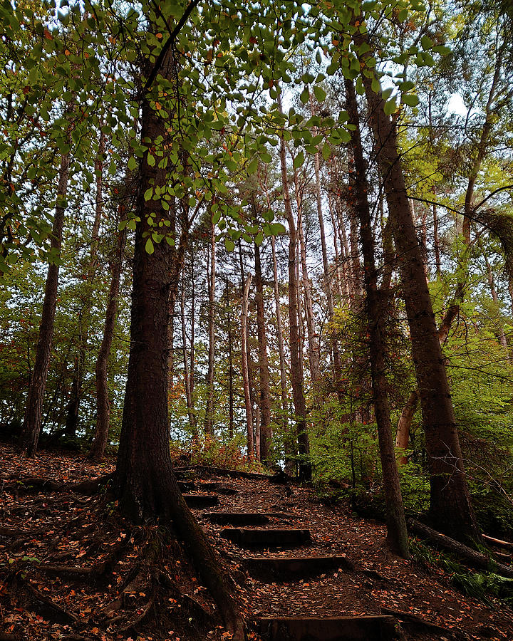 Landscape Photograph - The path upwards by David Gallie Landscape Photograph - The path upwards by David Gallie