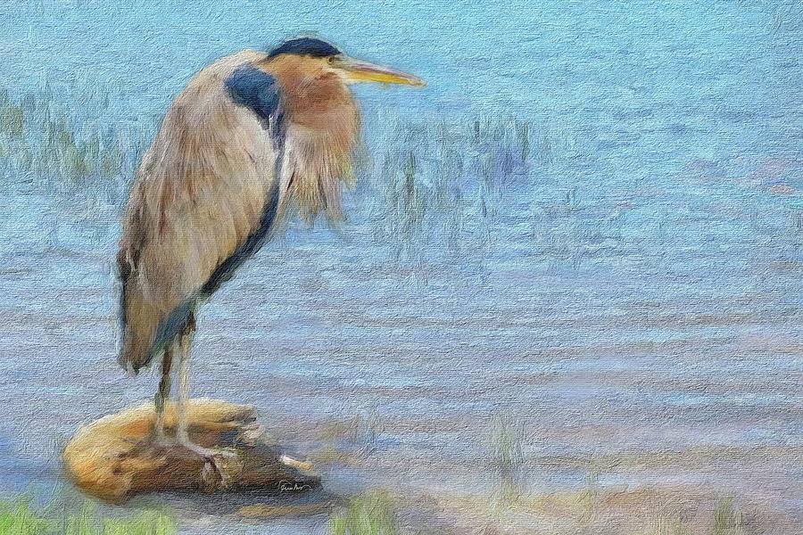 The Patience of a Great Blue Heron Digital Art by Russ Harris