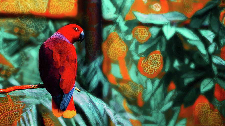 Jungle Mixed Media - The Patient Eclectus by Susan Maxwell Schmidt