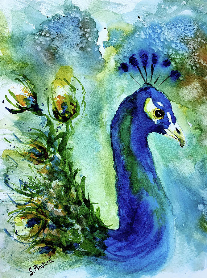 Peacock Painting - The Peackock by Steven Ponsford