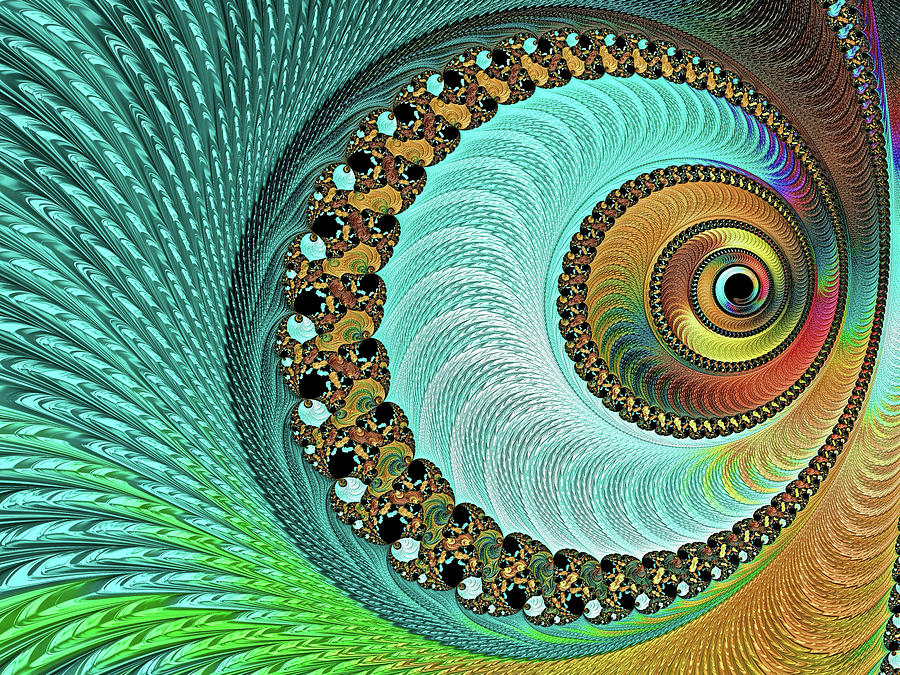 The Peacocks Eye Digital Art by Susan Maxwell Schmidt
