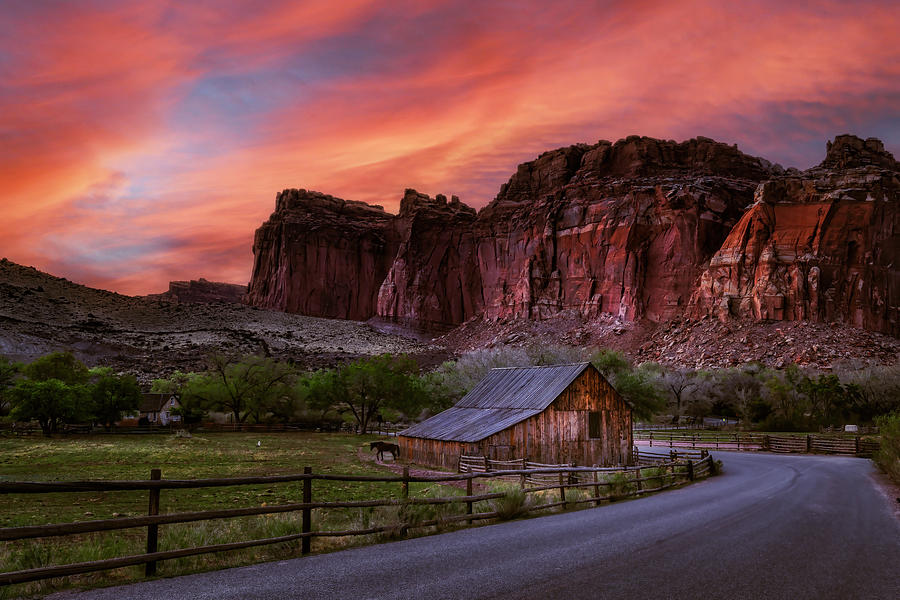 Capitol Reef National Park Photograph - The Pendleton Barn CRNP by Susan Candelario