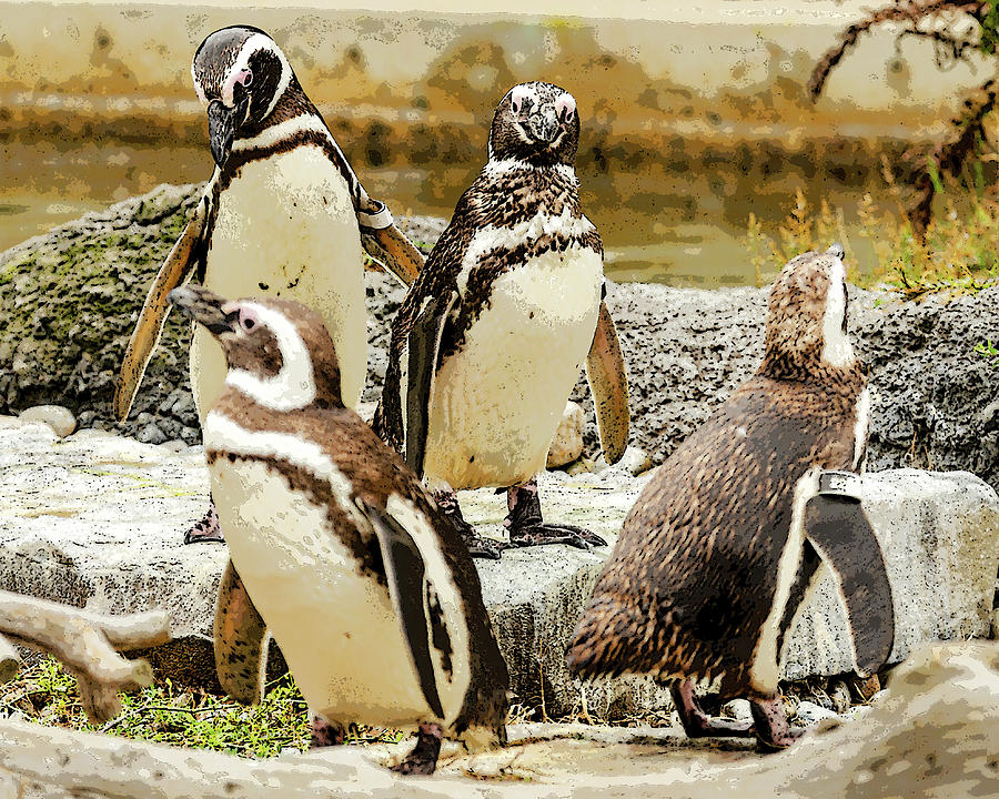 The Penguin Family Digital Art