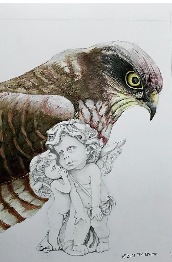 The Peregrine Guardian Drawing by Tim Ernst