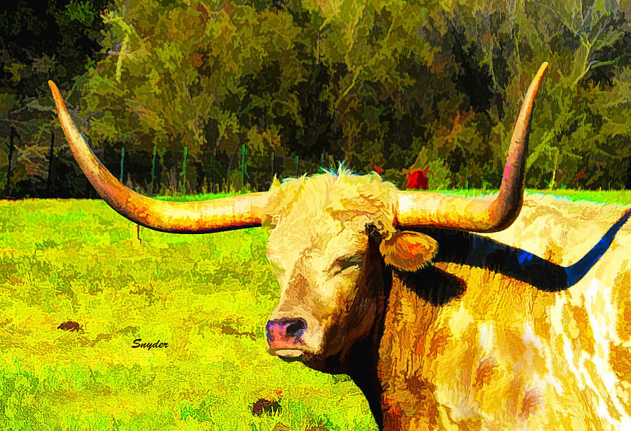 The Perfect Longhorn Detail Photograph by Floyd Snyder