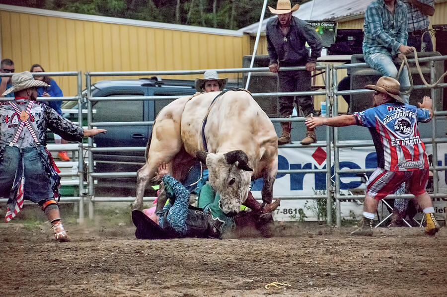 Fall Photograph - The Perils of Bull-Riding by Phyllis Taylor
