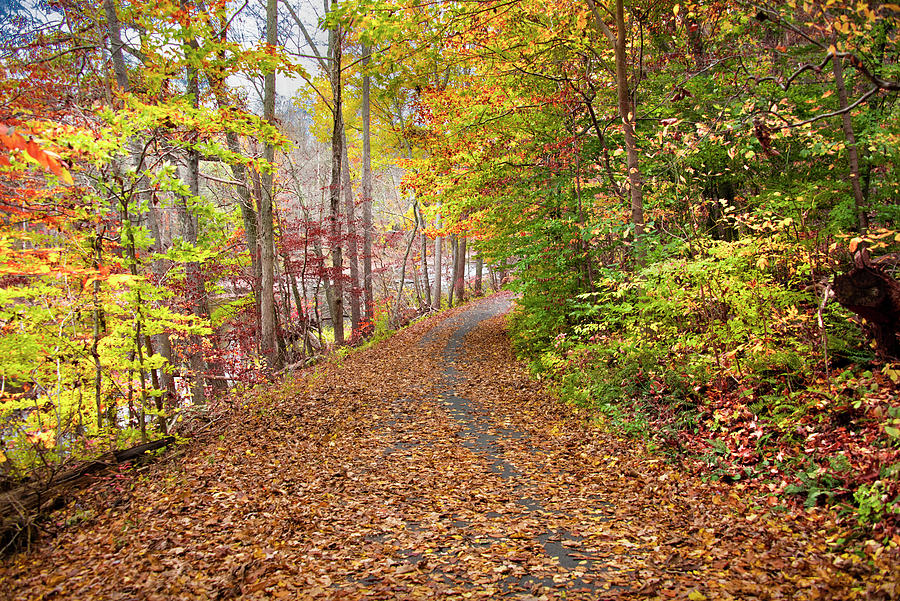 The Perkiomen Trail at Spring Mountain in Autumn Photograph by Bill Cannon