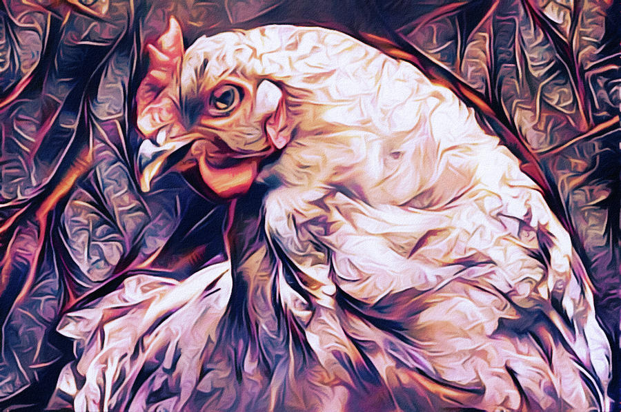 The Petulant Hen Digital Art by Susan Maxwell Schmidt