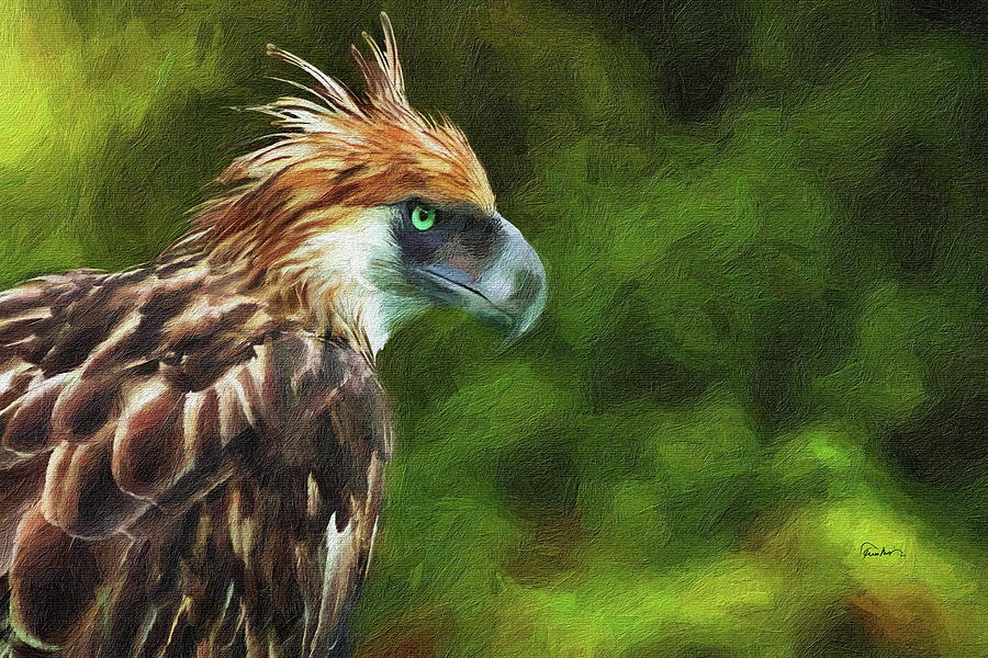 The Philippine Eagle - Critically Endanged Digital Art by Russ Harris ...