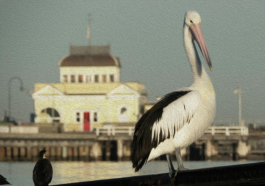 Pelican Photograph - The Pier and the Pelican by Leigh Henningham Pelican Photograph - The Pier and the Pelican by Leigh Henningham