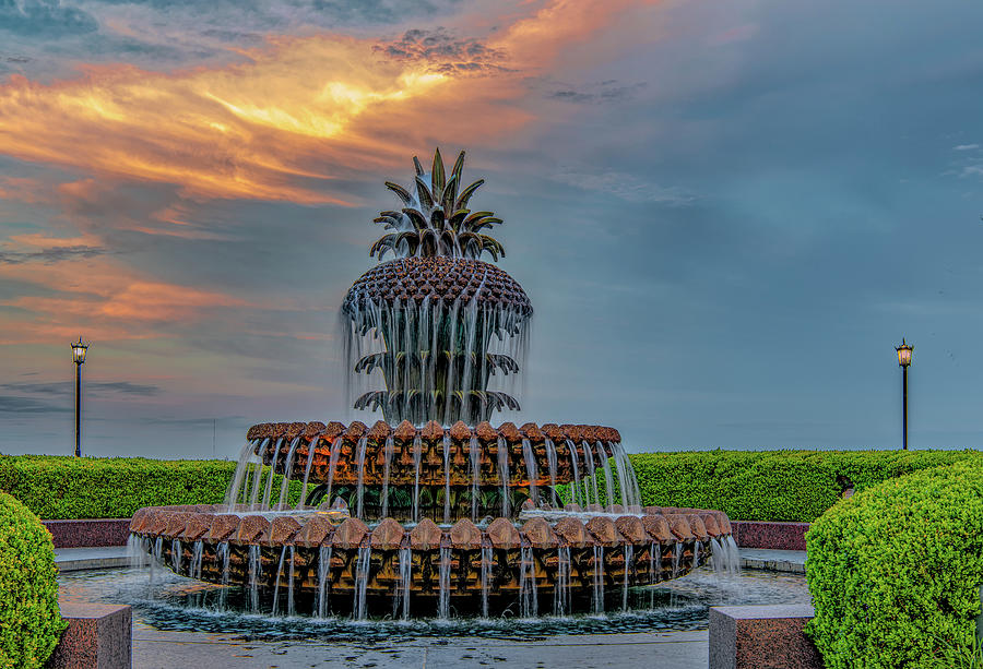 The Pineapple Fountain, A Symbol of Charleston Hospitality Photograph by Marcy Wielfaert
