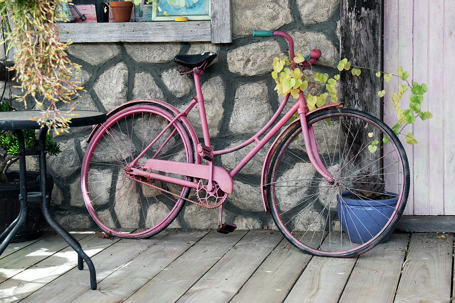 The Pink Bike Photograph by Elaine Teague