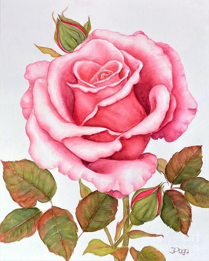 The pink elegant rose Painting by Inese Poga