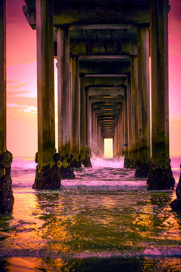 The Pink Pier of Summer Photograph by JoAnn Silva