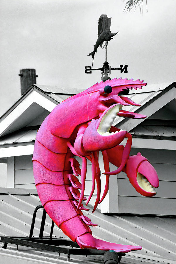 The Pink Shrimp of Shem Creek Photograph by Jerry Griffin