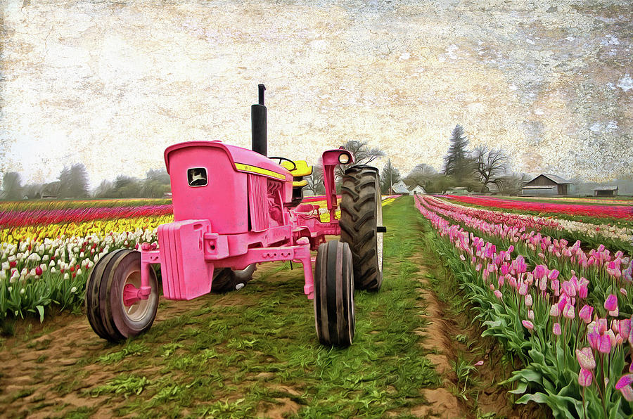 The Pink Tractor  Photograph by Thom Zehrfeld