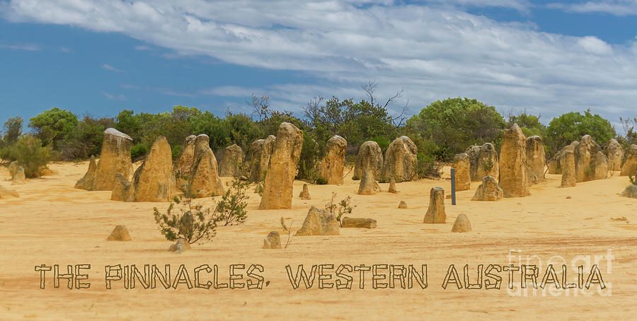 The Pinnacles, Cervantes, Western Australia 7 Photograph by Elaine Teague