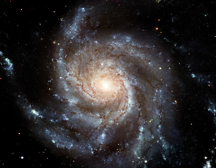 Space Painting - The Pinwheel Galaxy by Cosmic Photo