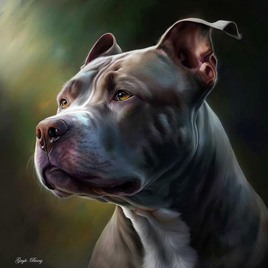 The Pit Bull Mixed Media by Gayle Berry - Fine Art America