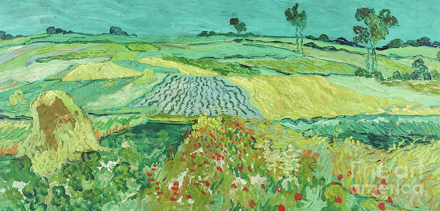 The plain near Auvers, 1890 Painting by Vincent Van Gogh
