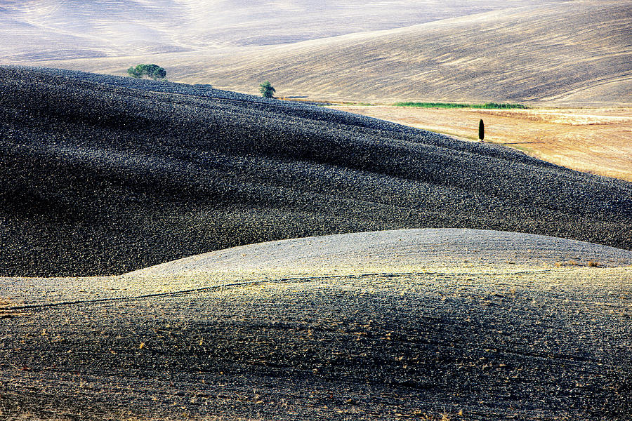 The Plowed Fields Photograph by Mark Gomez