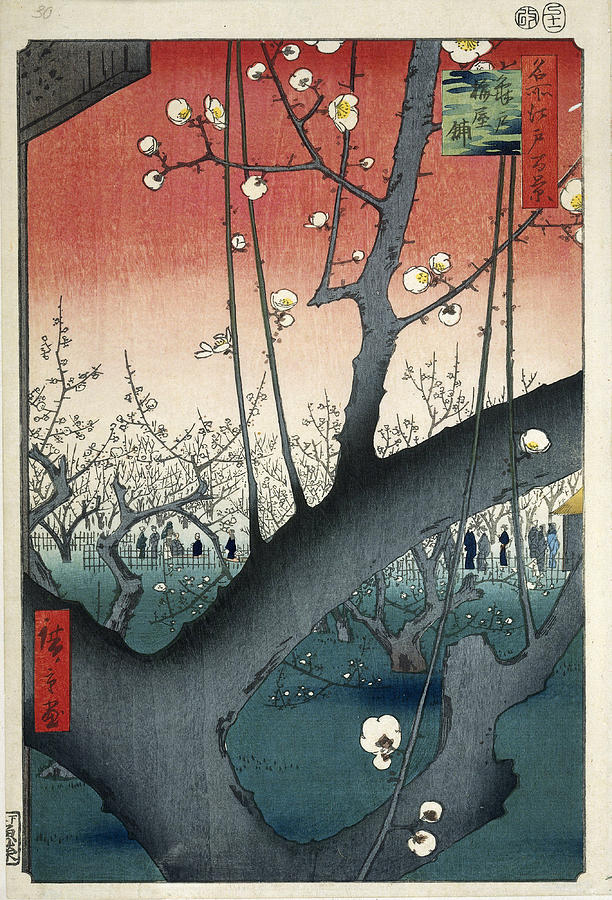 The plum orchard at Kameido Drawing by Utagawa Hiroshige