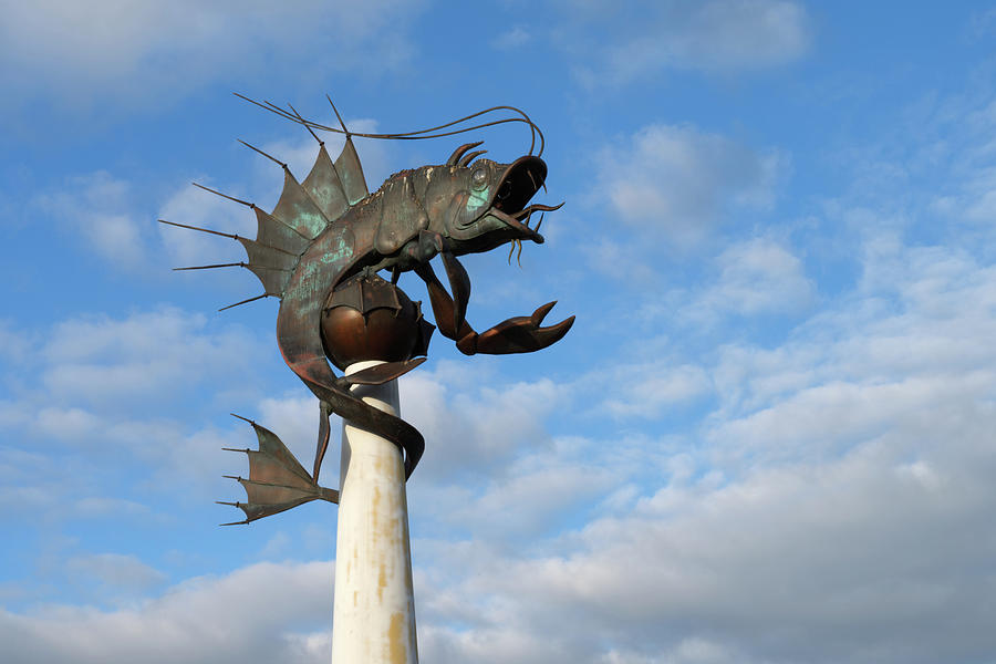 The Plymouth Prawn Photograph by Chris Day