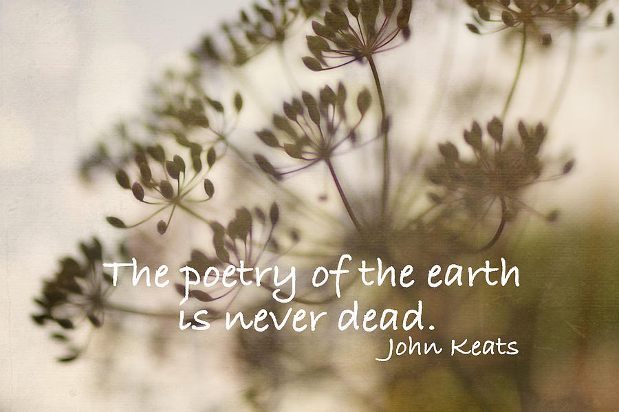 The Poetry Of The Earth Literary Quote  Photograph by Ann Powell