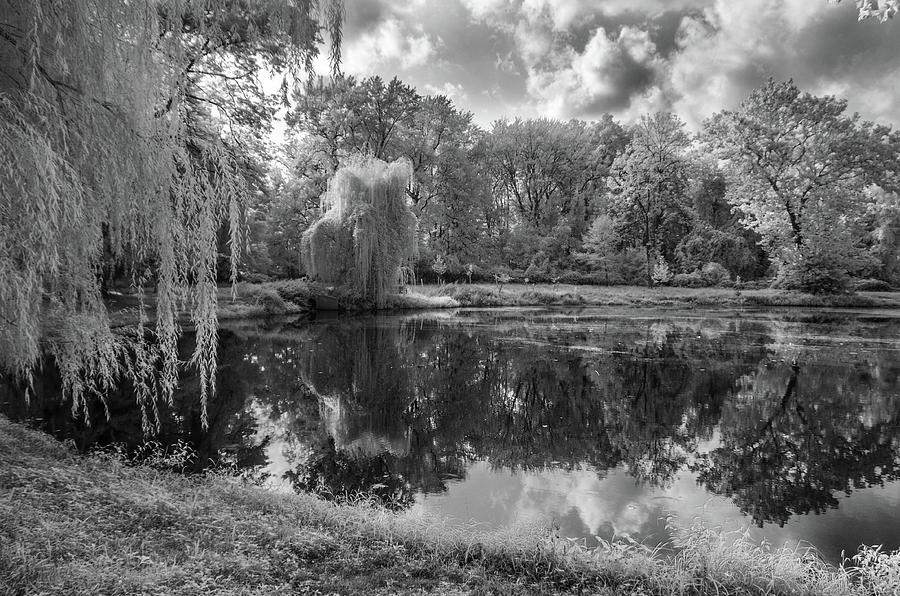 The Pond at Meisel Avenue Park Photograph by Alan Goldberg