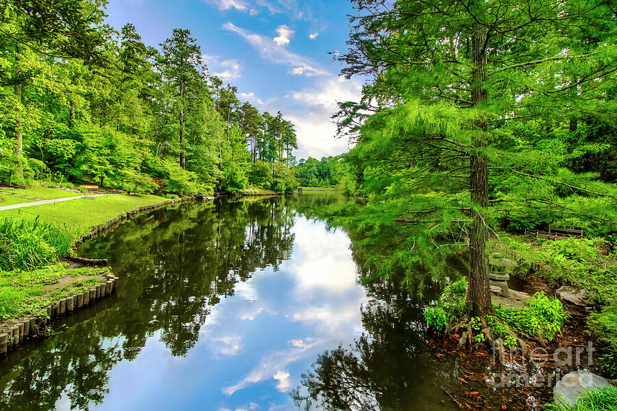 Duke University Photograph - The Pond at Sarah P. Duke Gardens in Durham, North Carolina by Shelia Hunt
