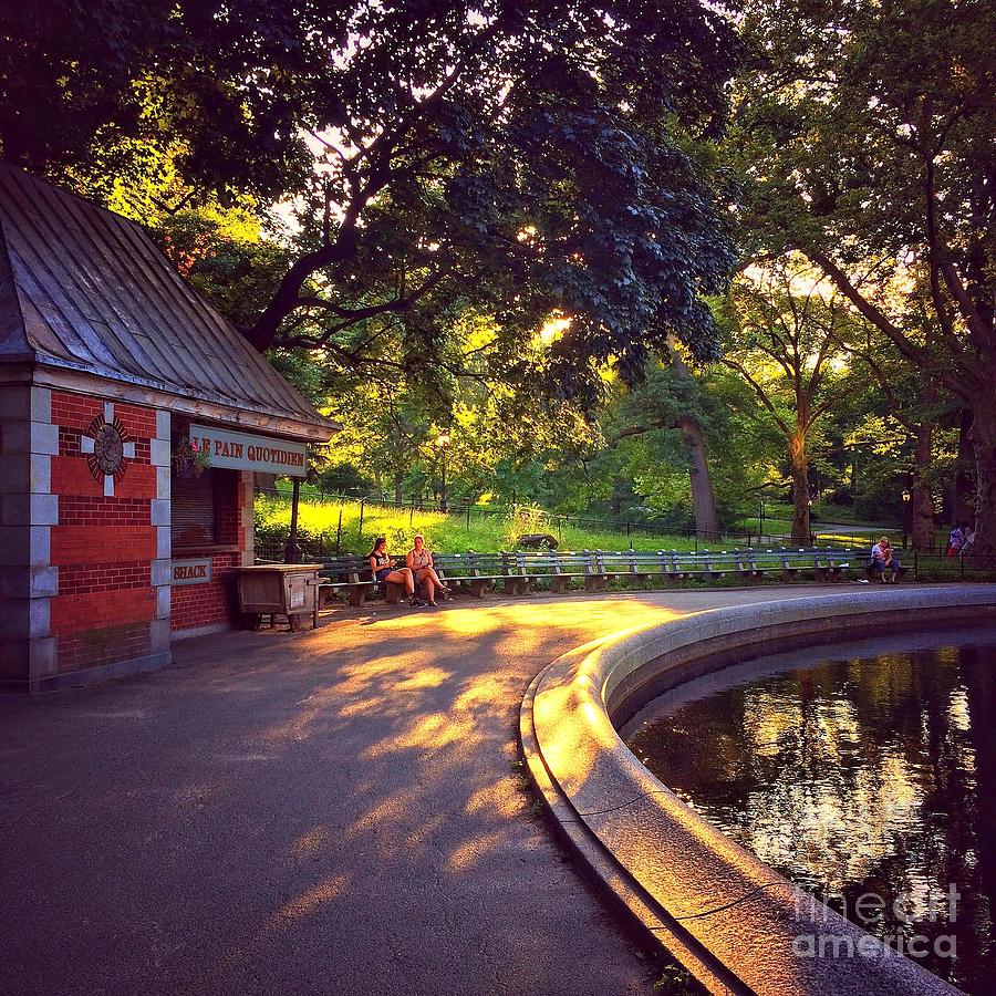 sunset in central park by sarah morgan sunset in central park by sarah morgan