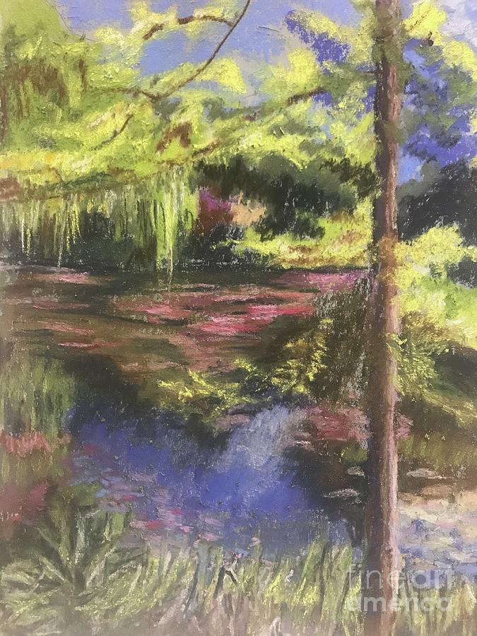 The pond Pastel by Nancy Anton