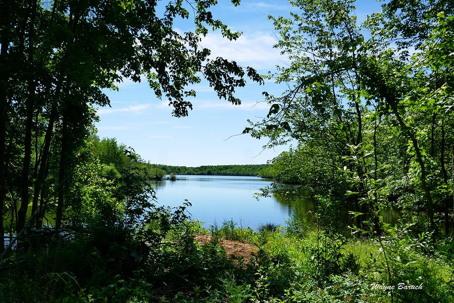 The Preserve Summer Photograph by Wayne Baruch - Fine Art America