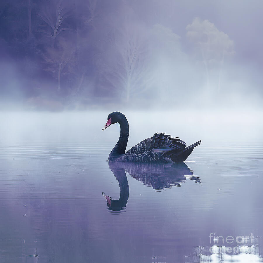 Swan Digital Art - The Prettiest Black Swan One by Elisabeth Lucas