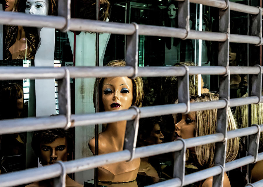 The Prison Of Beauty Photograph