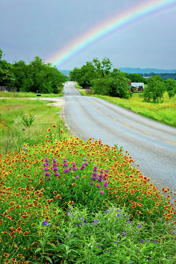 The Promise of Spring in the Hill Country Photograph by Lynn Bauer