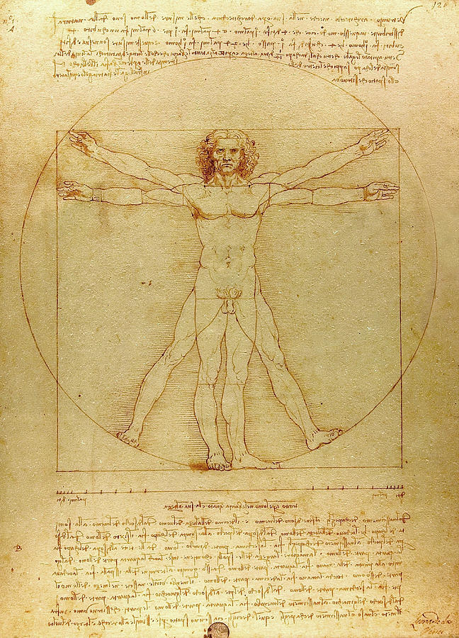 Leonardo Da Vinci Painting - The Proportions of the human body according to Vitruvius by Leonardo da Vinci