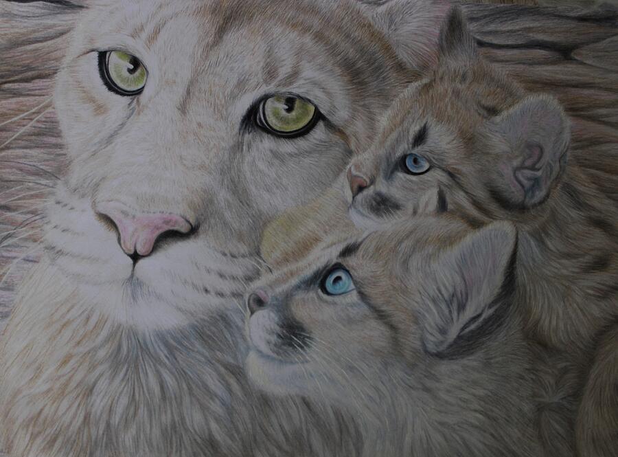 Mountain Lion Drawing - The Protective Look of a Mother Cougar with Her Cubs  by Deidra Smith
