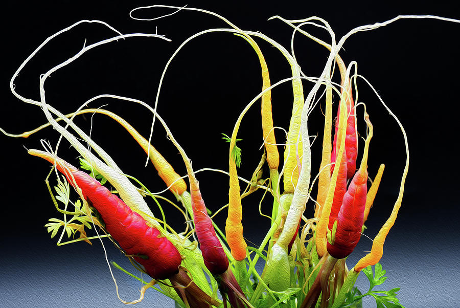 The Psychedelic Carrot Rodeo Photograph by Joe Schofield
