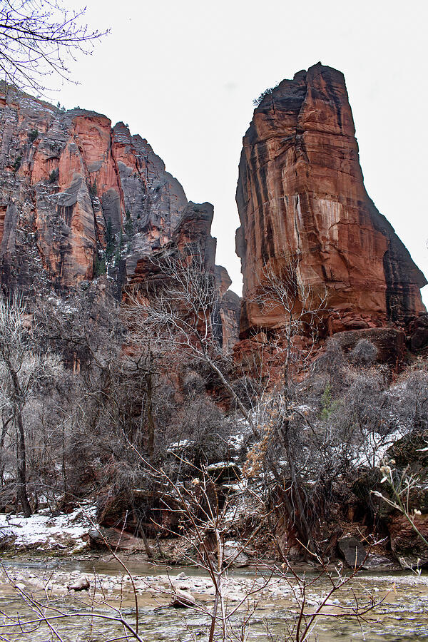 The Pulpit, Temple of Sinawava, Zion National Park Photograph by Thierry Lach