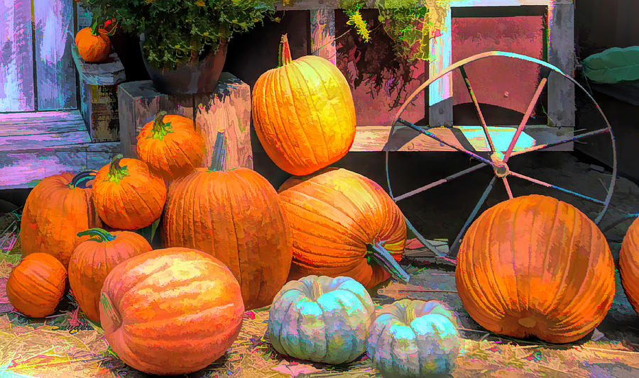 The Pumpkin Cart #2 Photograph by Barbara Snyder