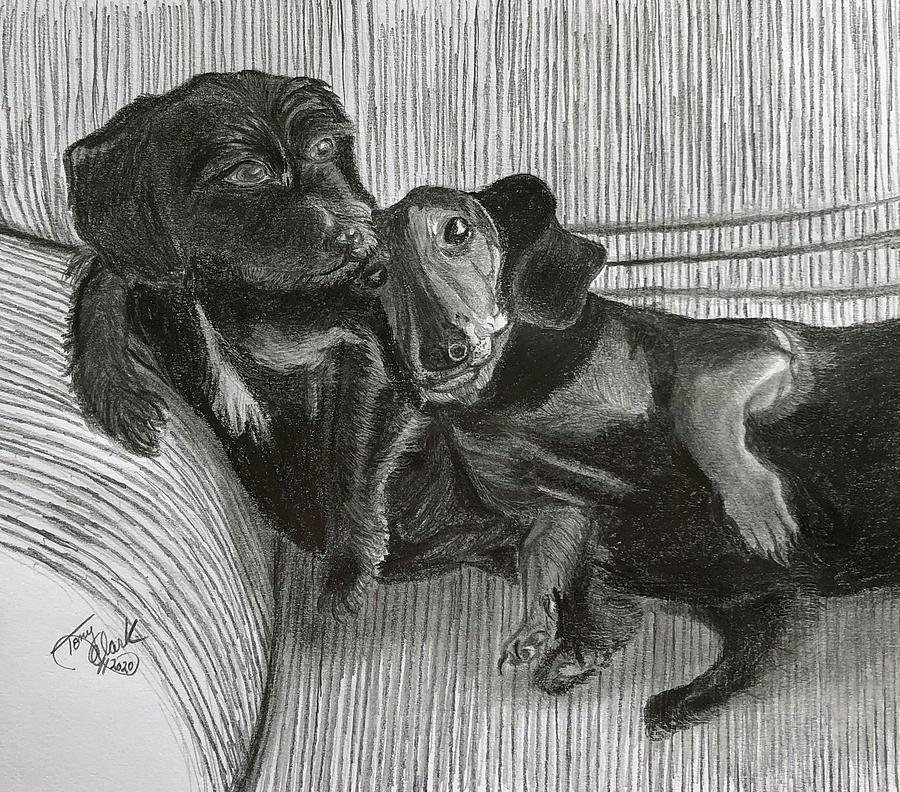 The Pups Drawing