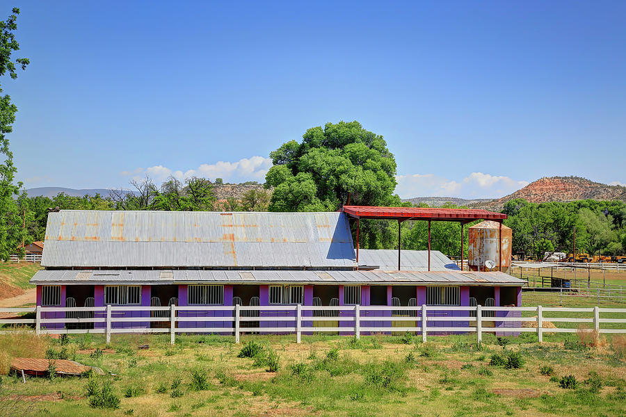The Purple Barn Photograph by Donna Kennedy