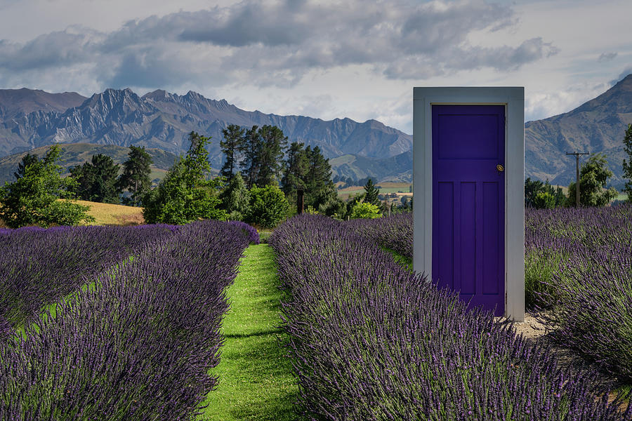 The purple door on the Lavender Farm in Wanaka with the mountains in the background Photograph by Anges Van der Logt