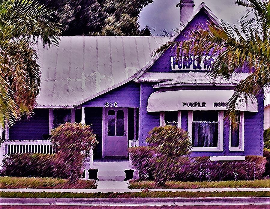 The Purple House Photograph by Sandy Poore