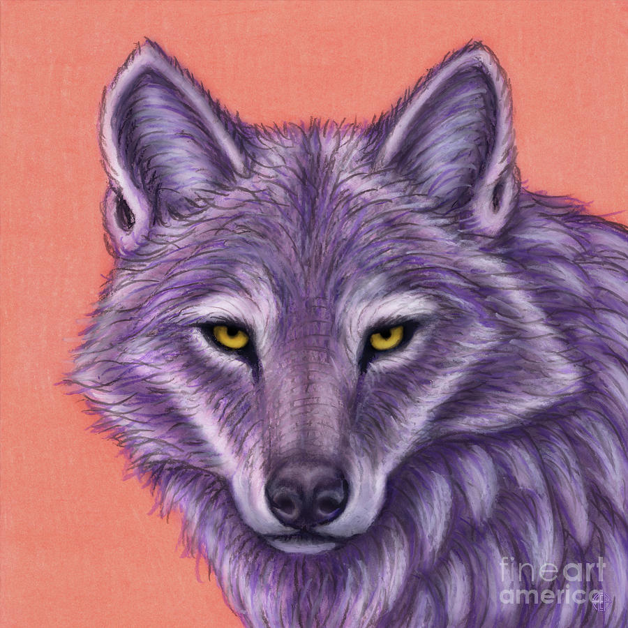 The Purple Wolf  Painting by Amy E Fraser