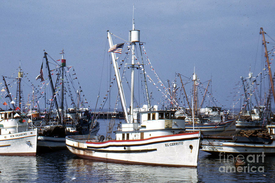 The Purse Seiners El Cerrito, New Vagabond Are Decorated For The Santa 