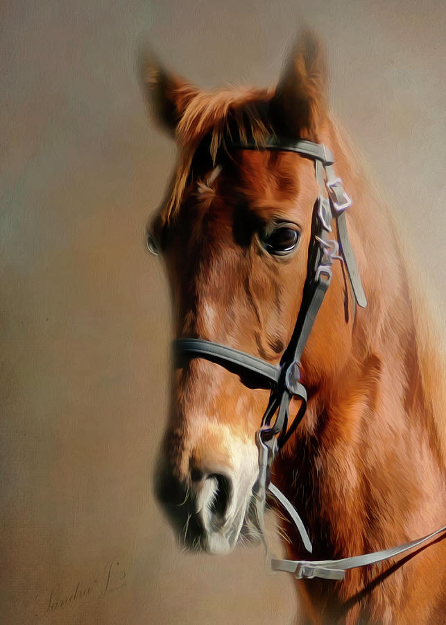 The Quarter Horse Painting Photograph by Sandra J's - Fine Art America