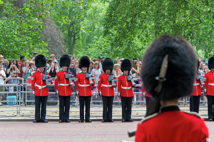 The Queens Guard on the Mall Photograph by Andrew Lalchan